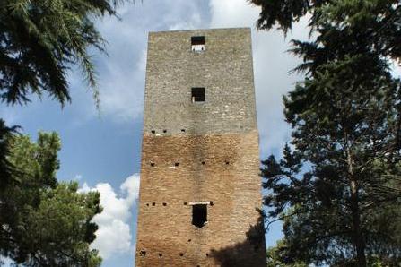 descrizione immagine