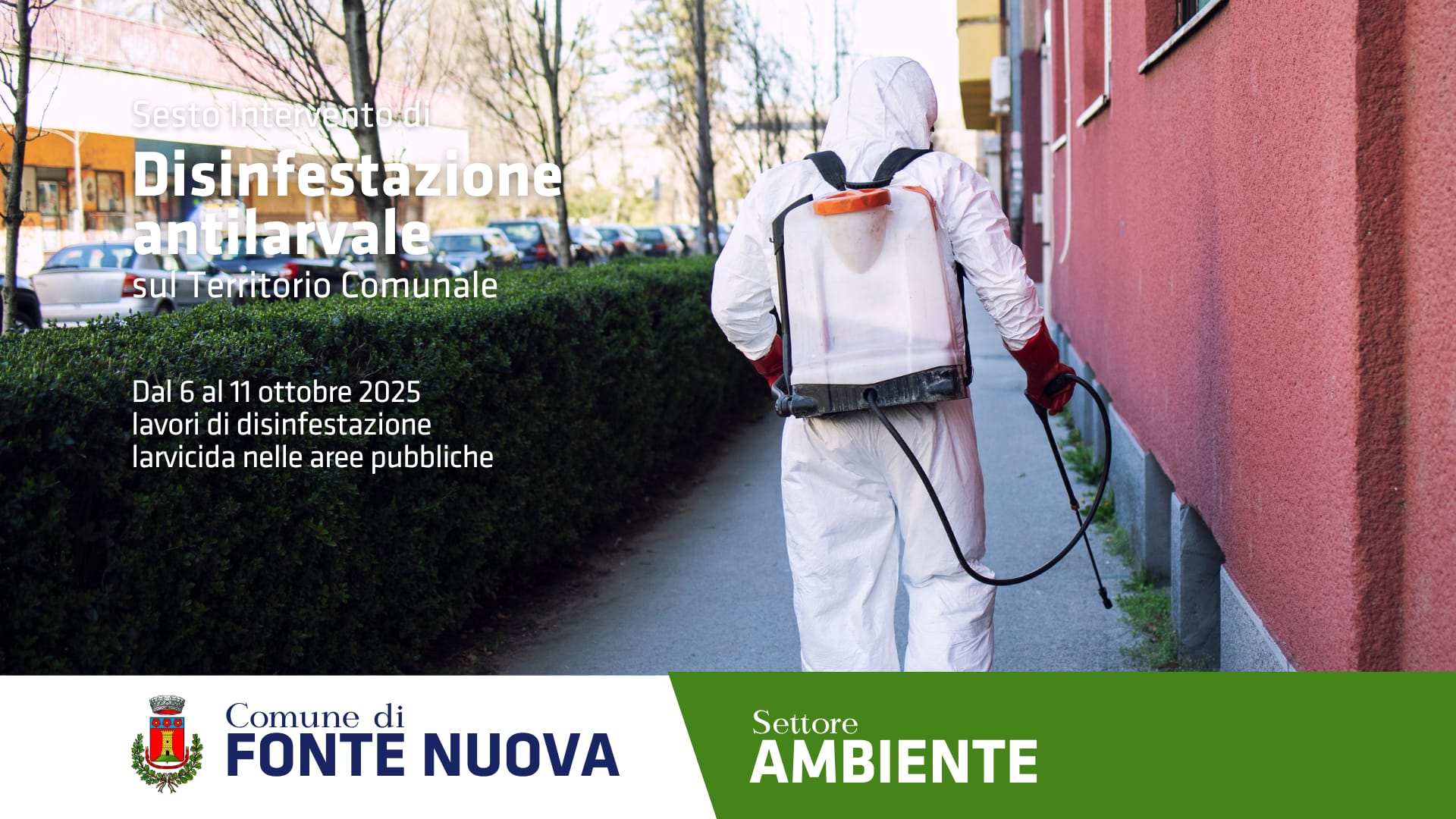 Disinfestazione antilarvale